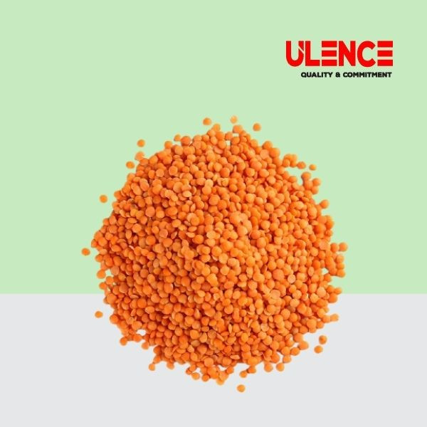 Moshur Dal (Imported)