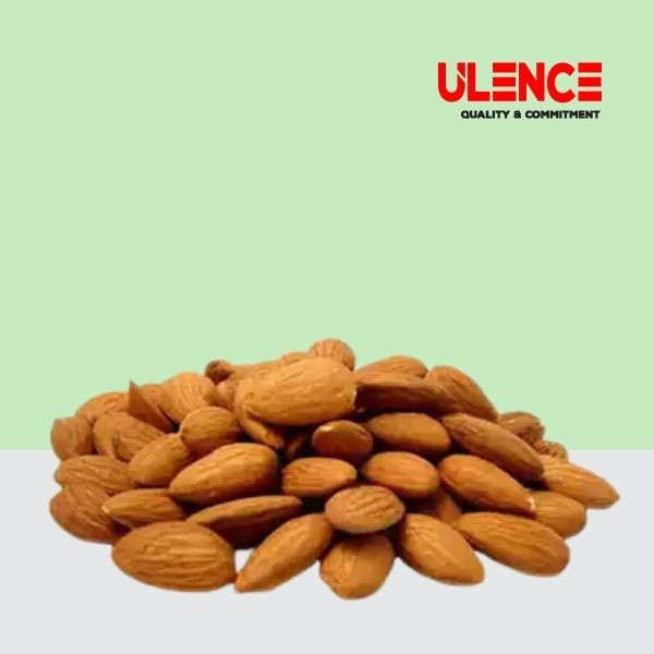 ALMOND (কাঠবাদাম)
